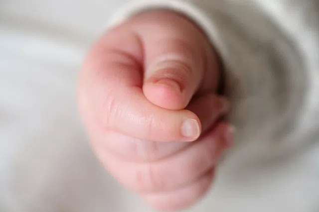 Body parts of baby found in freezer at Tokyo adult entertainment business