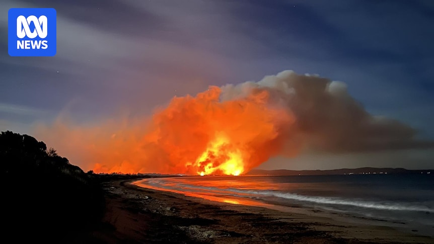 Dolphin Sands Bushfire: 19 Homes Destroyed, Dozens Damaged in Tasmania Inferno