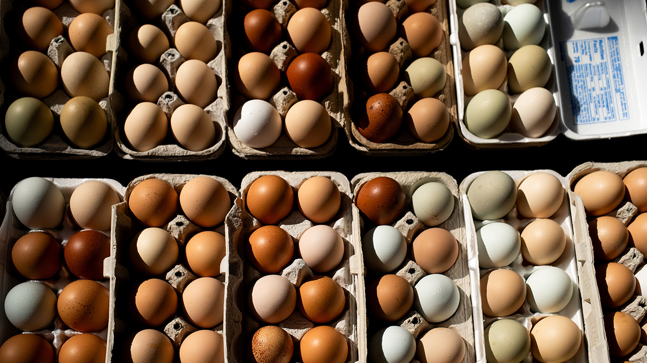 1.7 Million Eggs Recalled in US Due to Salmonella Outbreak: 79 Cases Reported