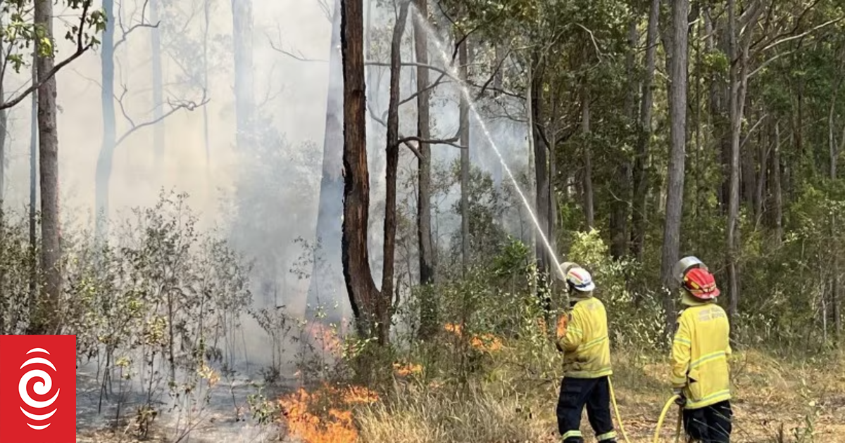 Firefighter killed by falling tree during bushfire prevention work in New South Wales