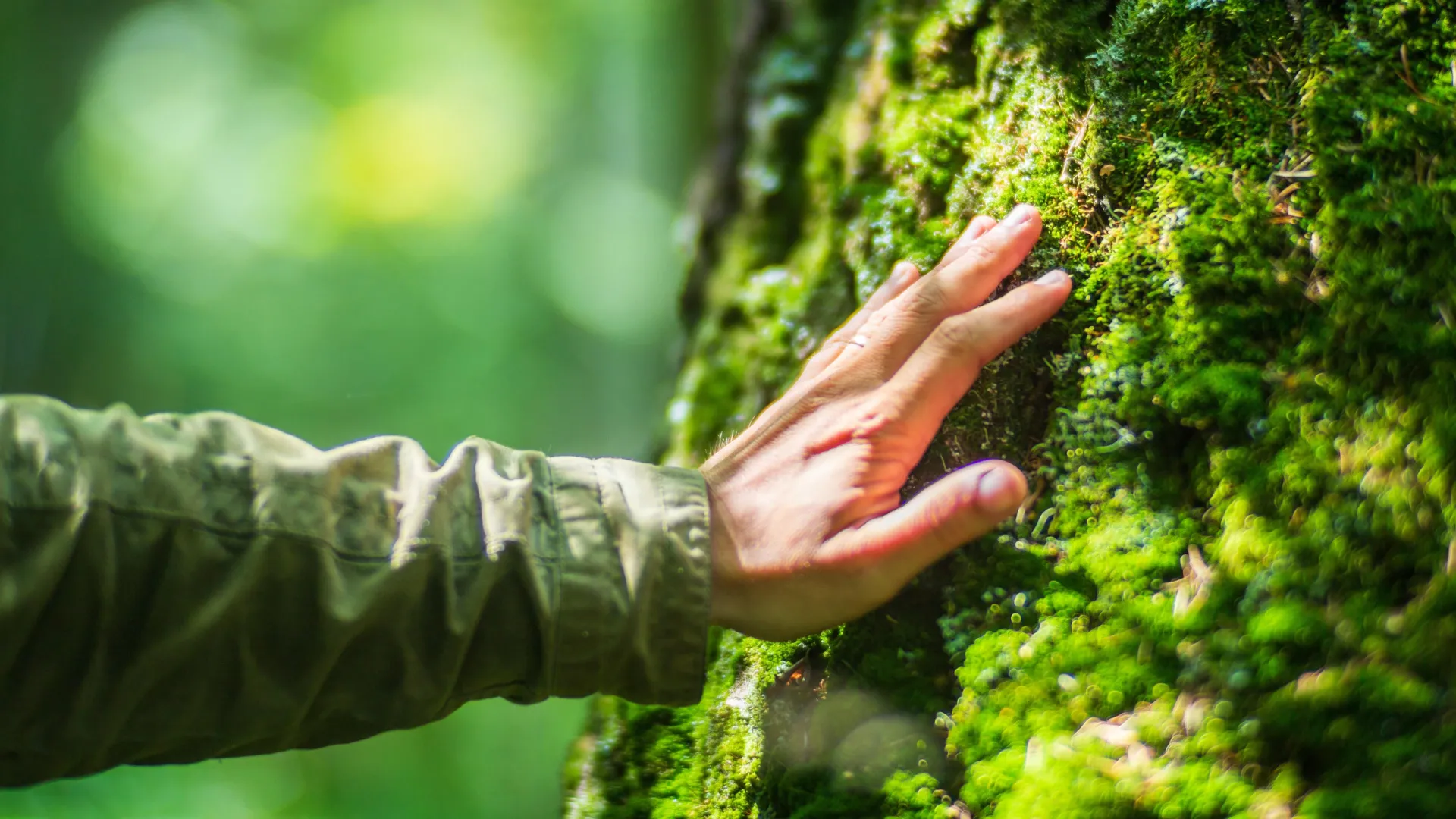 Humans are built for nature not modern life