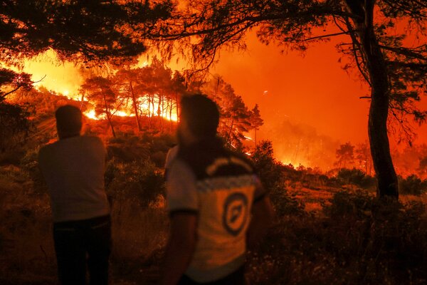 Syria Wildfires: Blazes Ravage Landscapes Amidst Ongoing Crisis