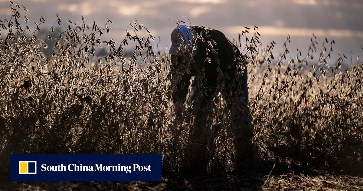 ‘A slap in the face’: Some US farmers unhappy with Trump’s $12 billion bailout
