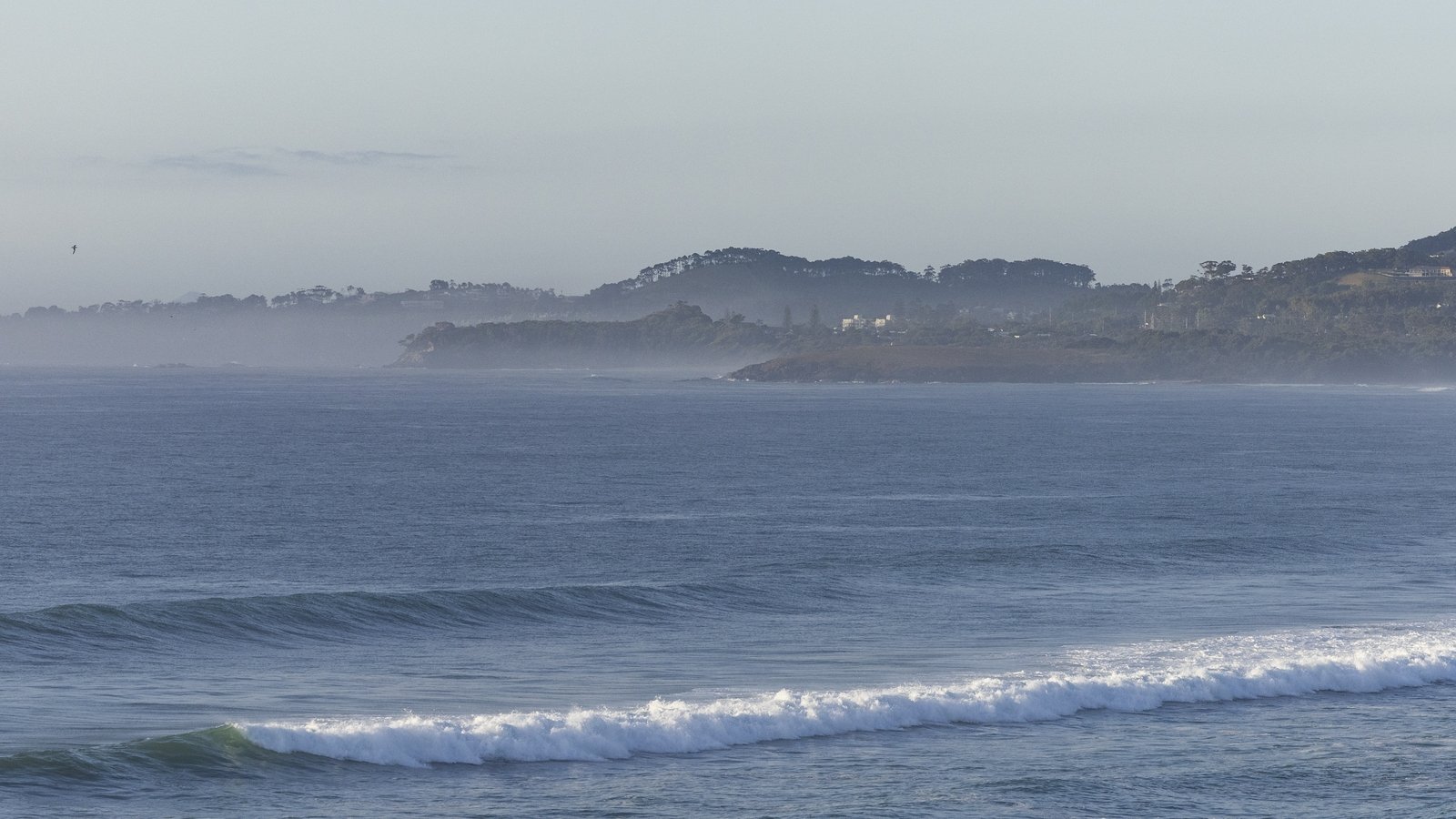 Lost Australian Surfer Rescued After Overnight Stay on Uninhabited Island