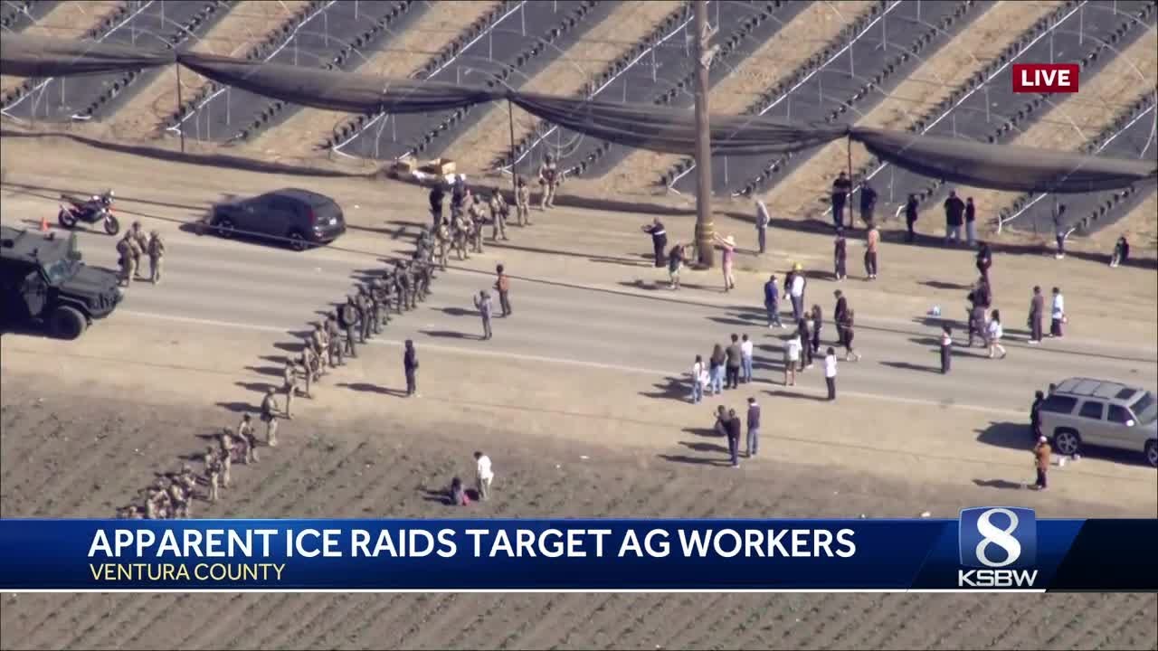 ICE Confronts Protesters at Southern California Cannabis Farm