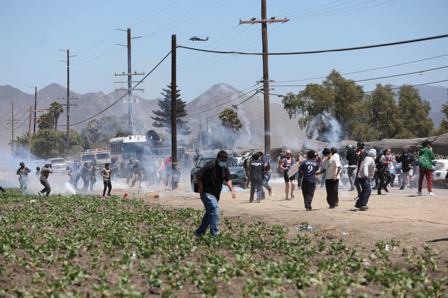 Immigration Raid at Cannabis Farm: Farmworker Injured - Los Angeles