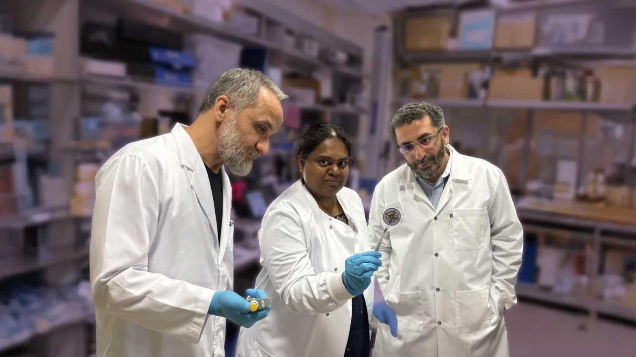 Rapid Disease Test: UAE Scientists Develop 10-Minute Paper Diagnostic