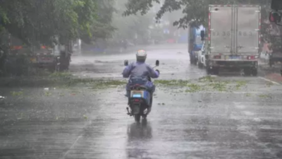Typhoon Wutip: Fatalities in Vietnam, Farmland Flooded, Impact on China