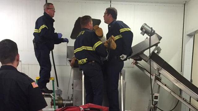 Teenager Dies in Meat Grinder Accident at US Factory; Investigation Launched