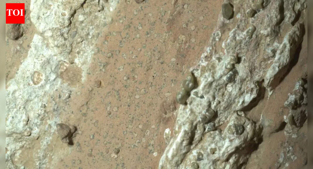 NASA's Perseverance Rover Uncovers "Impossible" Zebra-Patterned Rock on Mars' Jezero Crater: A Martian Mystery