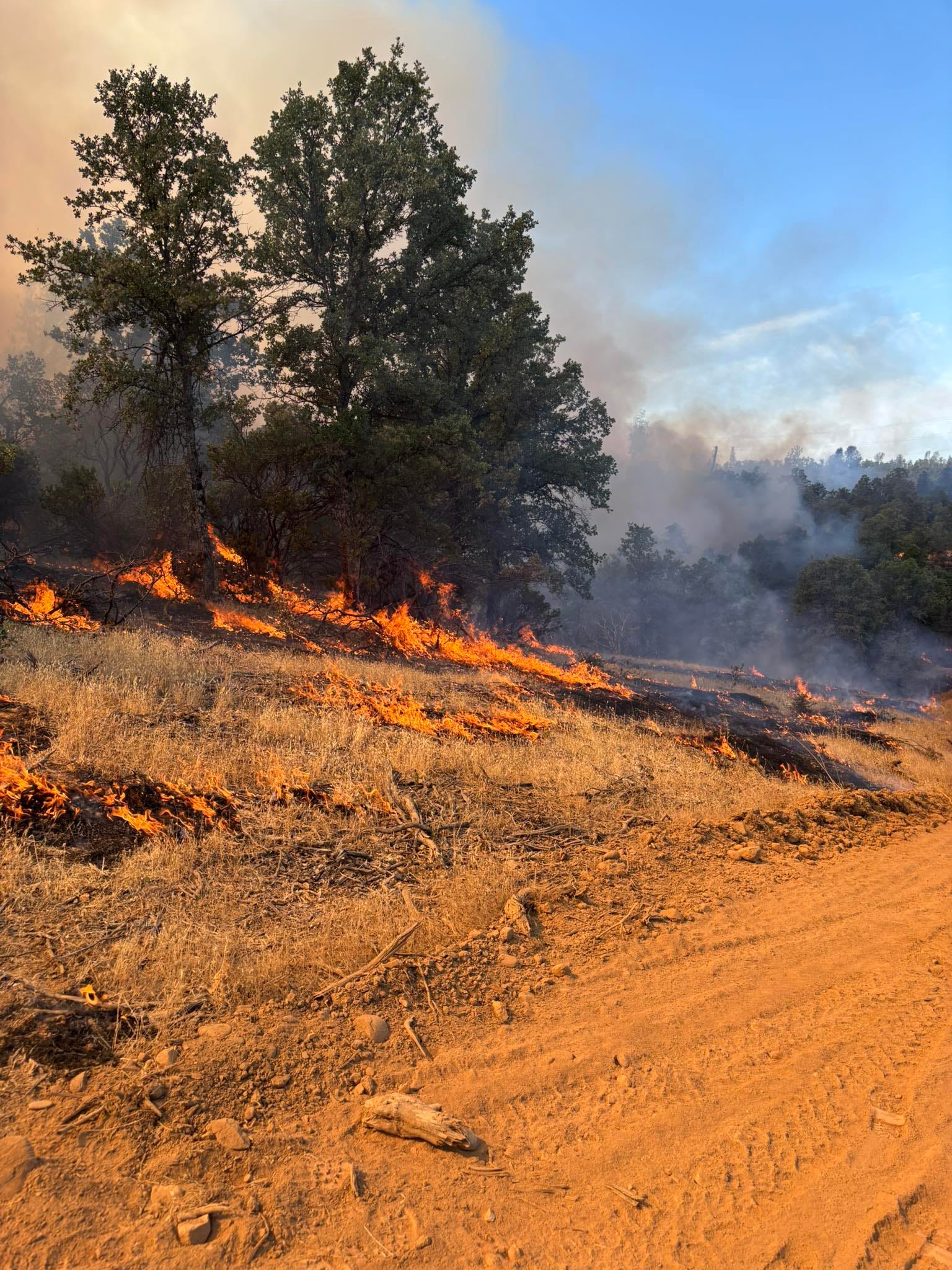 Rancho Fire Update: Cottonwood Blaze Expands, Evacuations Ordered