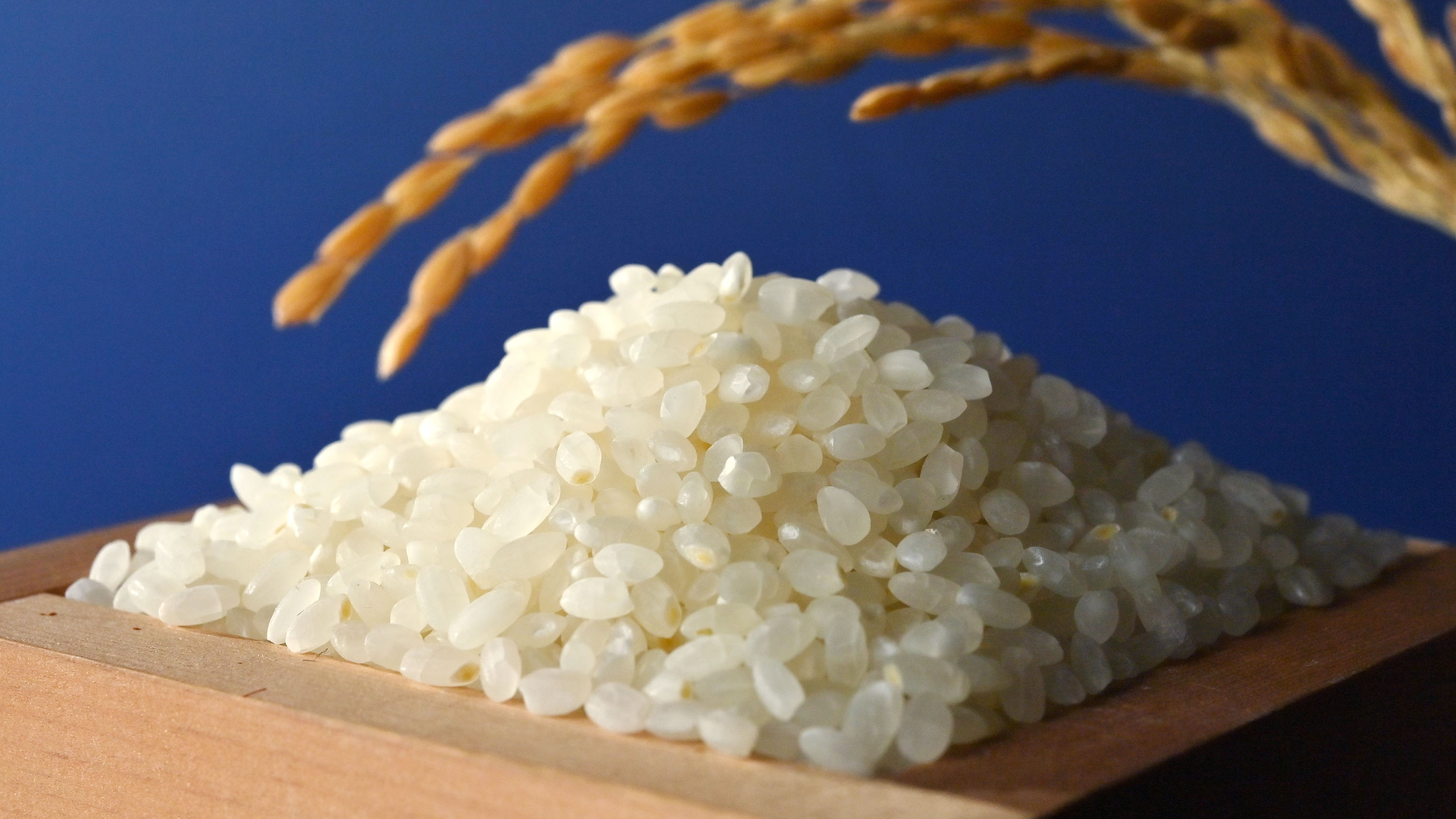 Japan Rice Prices Double Amid Rising Inflation, May 2024