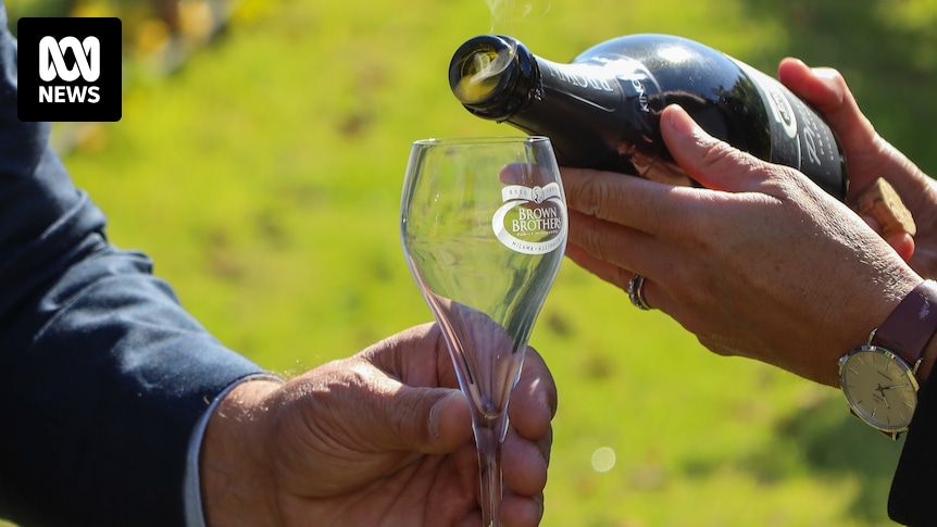 EU & Australia Near Trade Deal Breakthrough, Europe Eyes Australian Social Media Ban Model