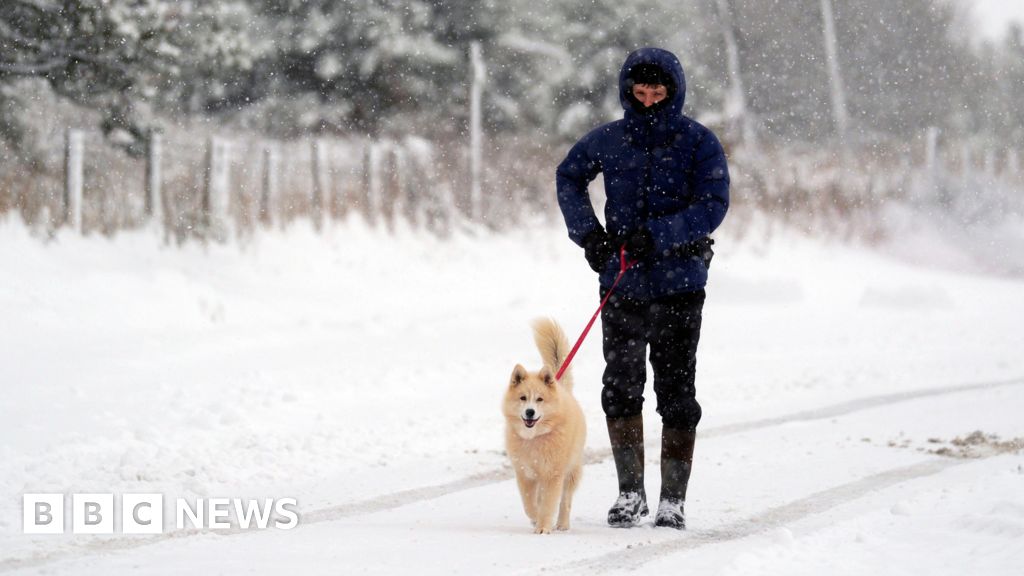 UK Gripped by Arctic Blast: Widespread Ice & Snow Warnings, School Closures, and Health Alerts Issued