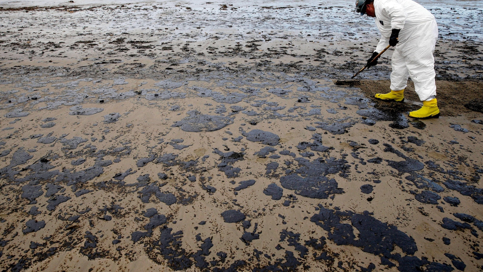 Trump Administration Pushes Controversial New Offshore Oil Drilling Near California, Florida Coasts Amidst “Energy Dominance” Goal