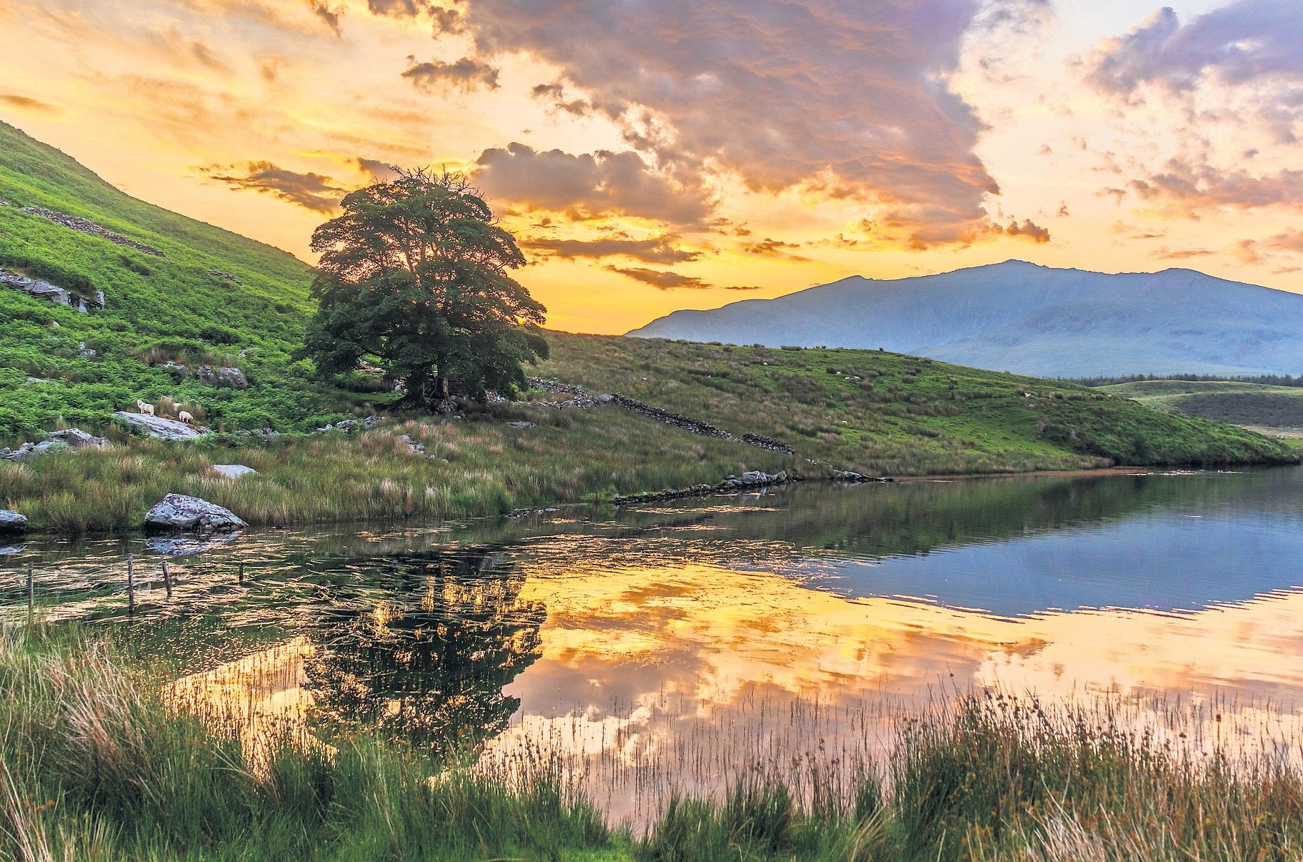 Heatwave Alert: England & Wales Face Potential 600 Deaths