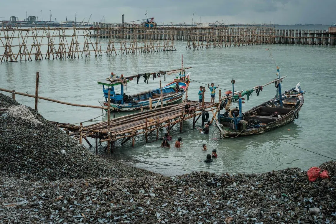 Green Mussel Shell Piles Engulf North Jakarta's Coast, Highlighting Waste & Erosion Challenges for Local Livelihoods