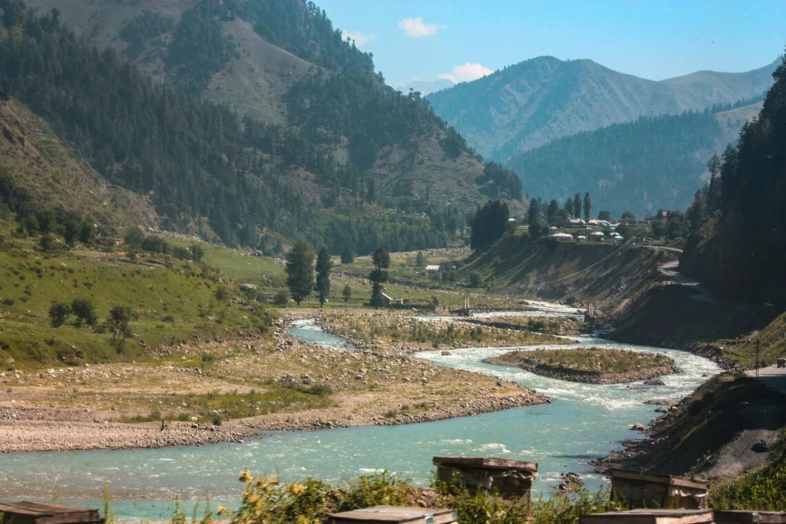 Grizzly Bear Attack Injures Four, Including Children, in British Columbia School Group Incident | Canada Wildlife Safety