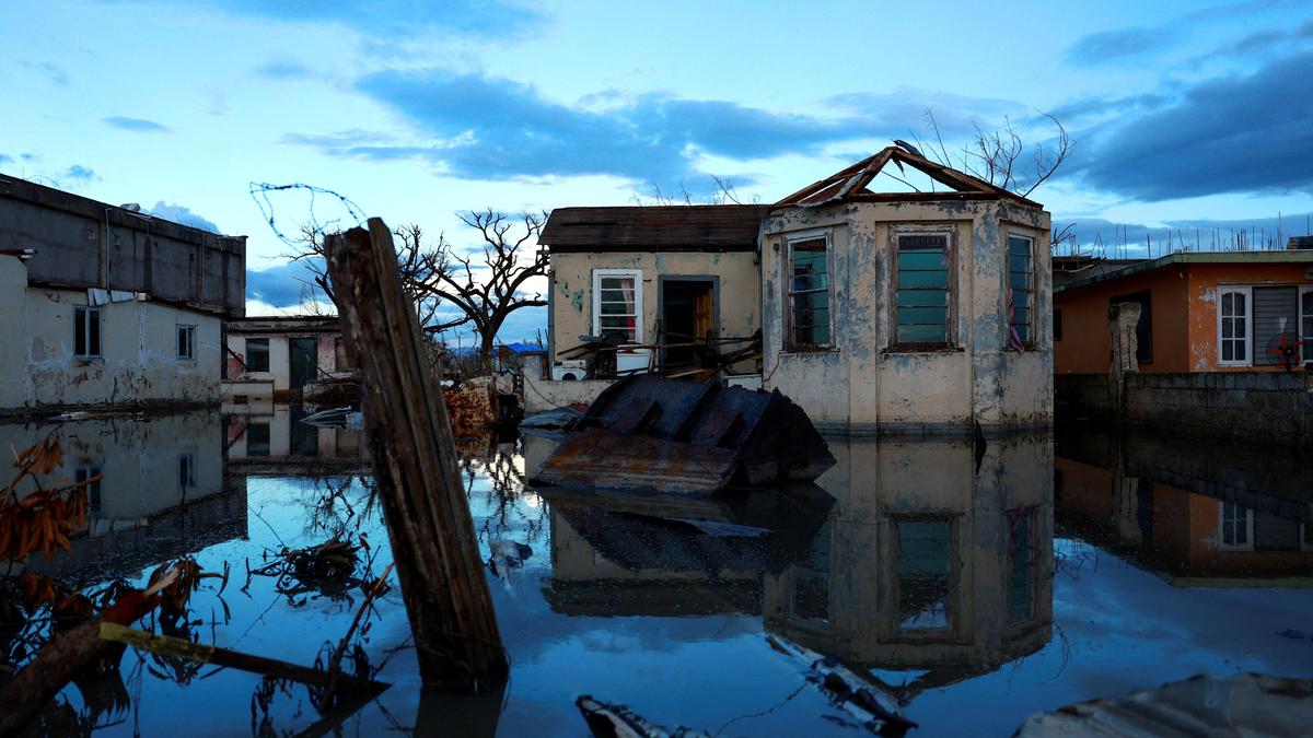 Jamaica Faces Deadly Leptospirosis Outbreak Post-Hurricane Melissa: 9 Confirmed, 28 Suspected Cases