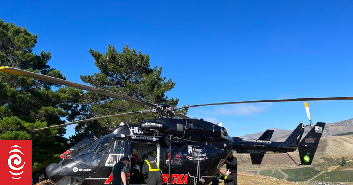 Heroic Helicopter Rescue Saves Dog Owner & Canine from Perilous Arrowtown Cliff in Otago