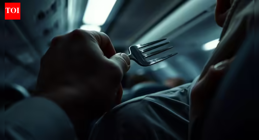 Indian Student Indicted in Boston for Mid-Flight Fork Attack on Lufthansa; Faces 10 Years, $250K Fine