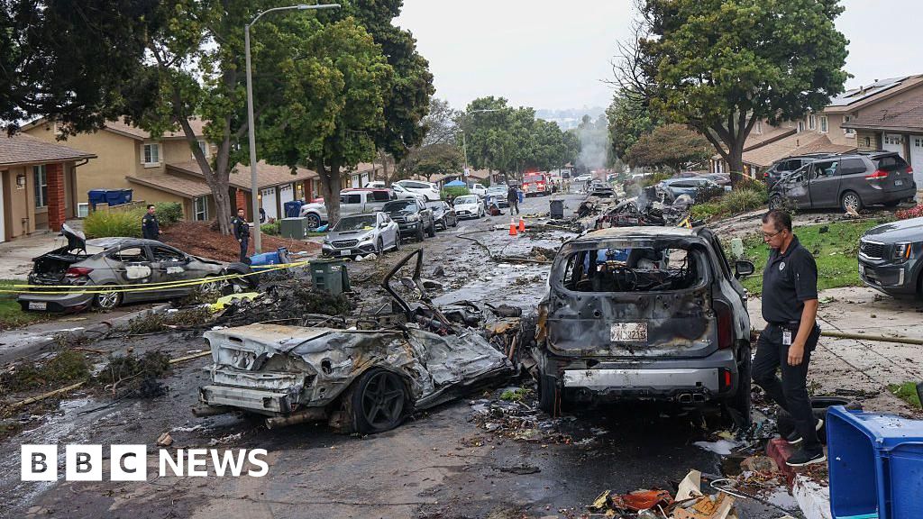 Plane Crash in San Diego Neighborhood Claims Two Lives - BBC News