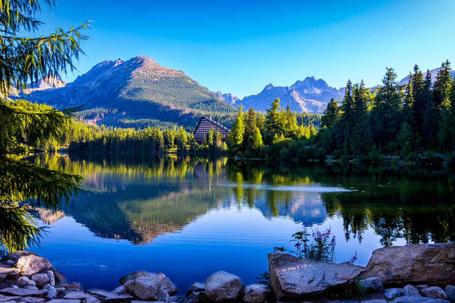 Virus Outbreak Sickens Thousands, Claims 9 Lives at Popular Tourist Spots