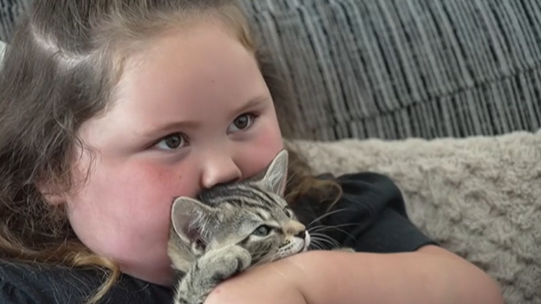 3-Year-Old Girl Faces Online Abuse After Dog Attack; Family Seeks Comfort