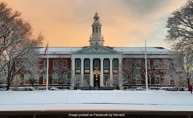Harvard Foreign Students Anxious Amid Trump's Immigration Policies