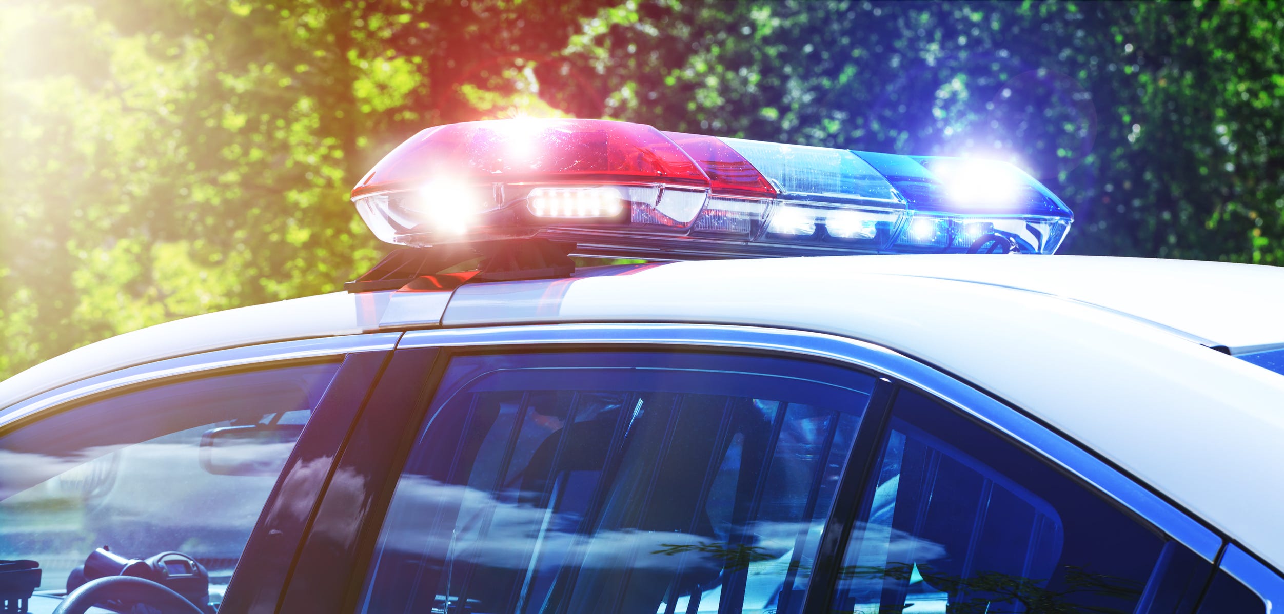 Stabbing at Perinton Trailhead: Suspect Apprehended in Park
