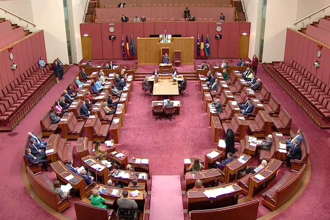 Far-right Australian Senator Pauline Hanson's Burqa Stunt in Parliament Sparks Widespread Outrage & Debate on Religious Freedom