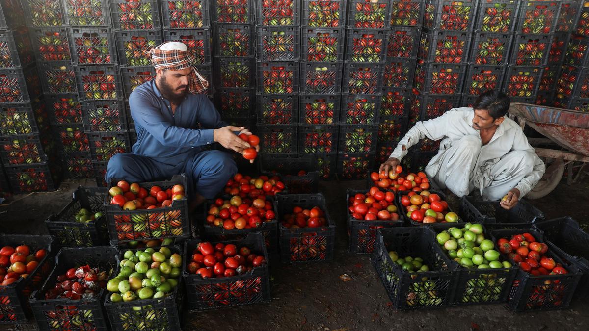 Pakistan-Afghanistan Trade Suspension: Perishable Goods Prices Soar After Taliban Directive & Defence Minister's Remarks