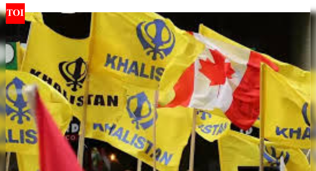Indian Flag Desecrated, 'Kill' Chants at Ottawa Khalistan Referendum as Thousands Vote Amidst Freezing Weather