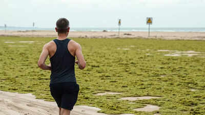 France Held Liable in Jogger's Death Due to Toxic Algae Bloom