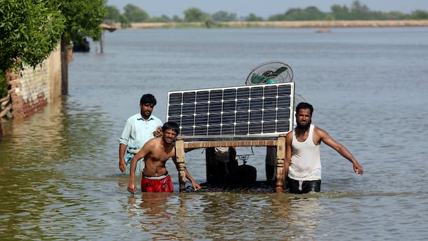 COP30 Misses Fossil Fuel Deal, Yet Global Clean Energy Transition Accelerates Amid U.S. Absence & Emerging Climate Leadership
