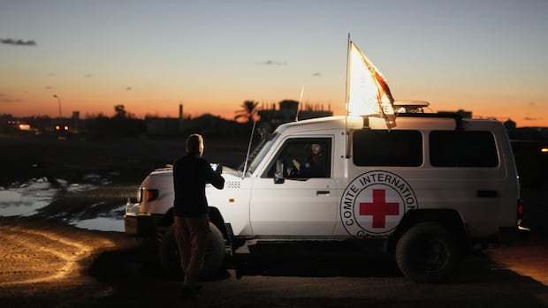 Israel Investigates Human Remains from Hamas; Gaza Hostage Identification & Ceasefire Talks Intensify