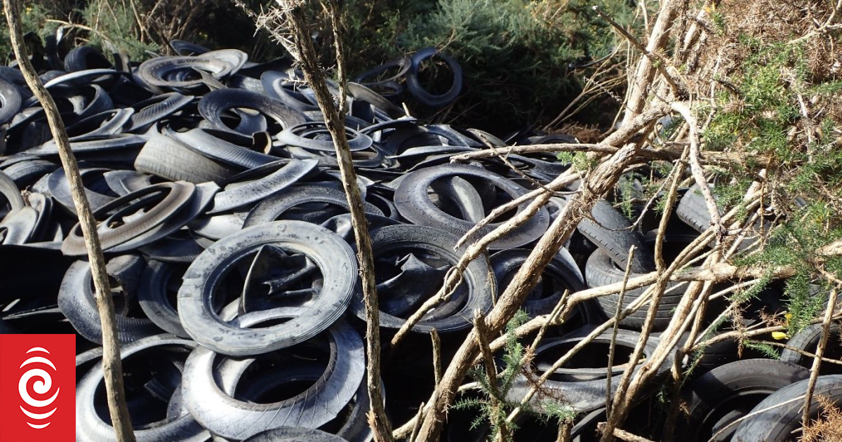 New Zealand Marine Scientists Uncover Vehicle Tyres as Leading Ocean Microplastic Source