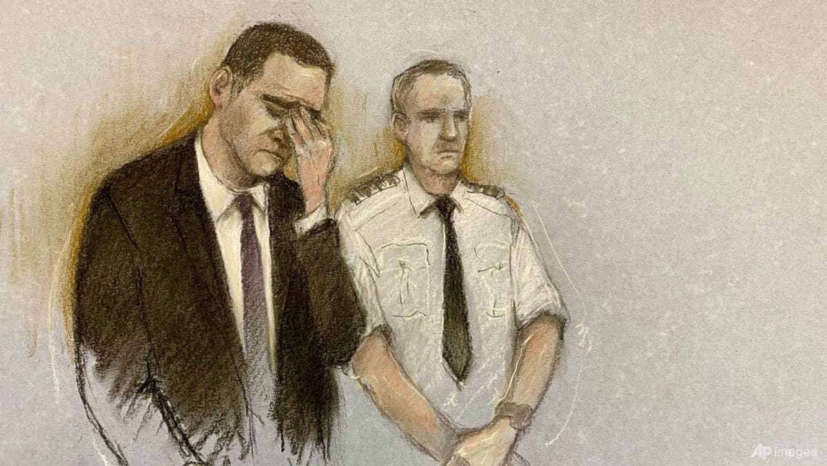 Man who drove into crowd at Liverpool football parade pleads guilty to 31 charges