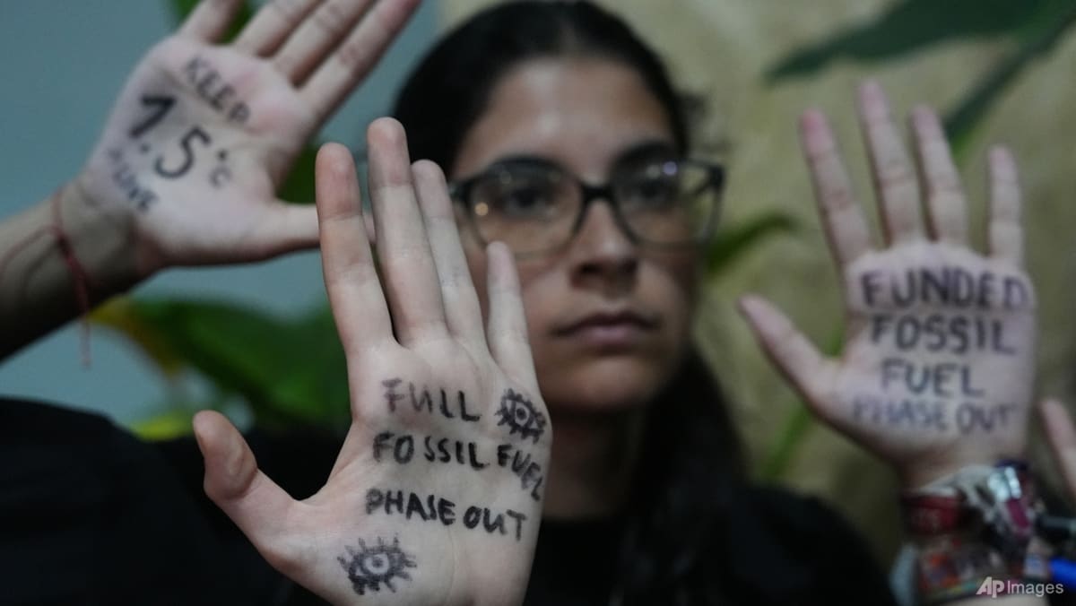 COP30 Climate Summit in Brazil Ends in Disappointment Over Fossil Fuels & Finance Divide; Analysts Question Global Climate Diplomacy