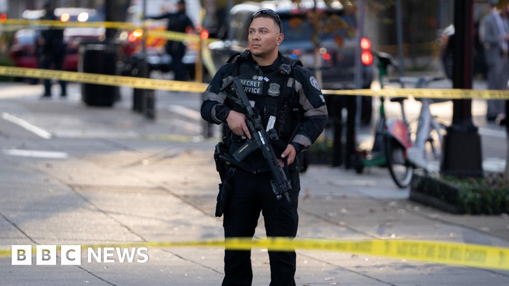 US Suspends Afghan Immigration Requests After White House Shooting, Citing Security Concerns and Vetting Protocol Review