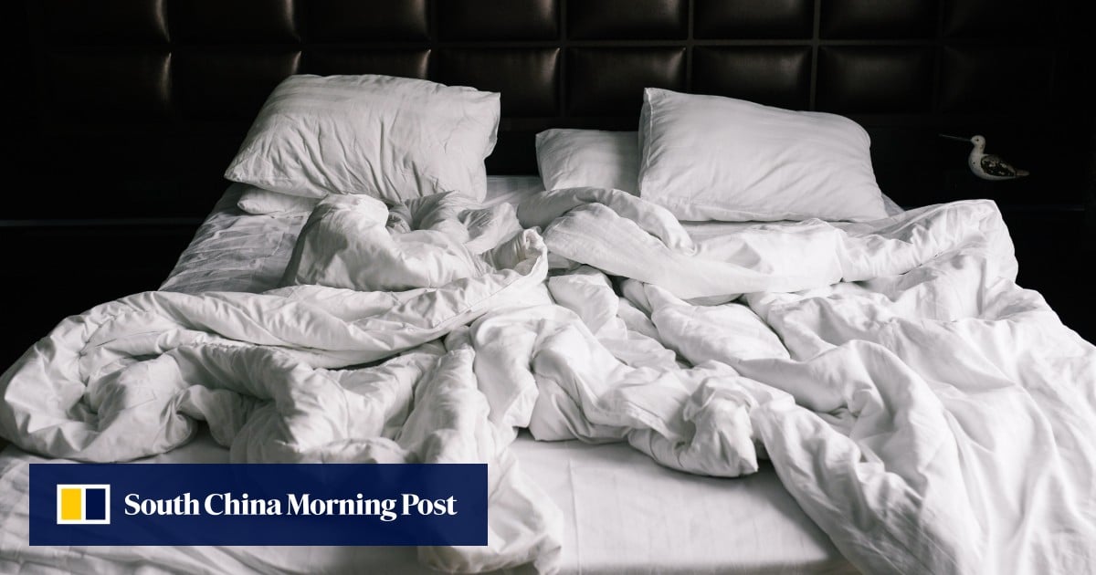 Dijon Jailbreak: French Inmates Saw Through Bars, Use Bedsheets in 'Old-Fashioned' Escape Amidst Prison Crisis