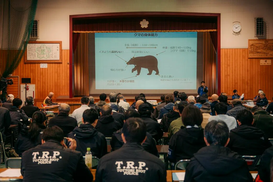 Man Fights Off Bear in Public Restroom Near Tokyo Amid Rising Wildlife Encounters in Japan