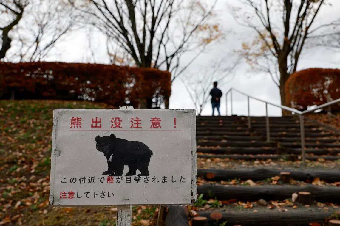 Japan's Record Bear Attacks Spur New Insurance Products & Safety Measures Amid Rising Fatalities