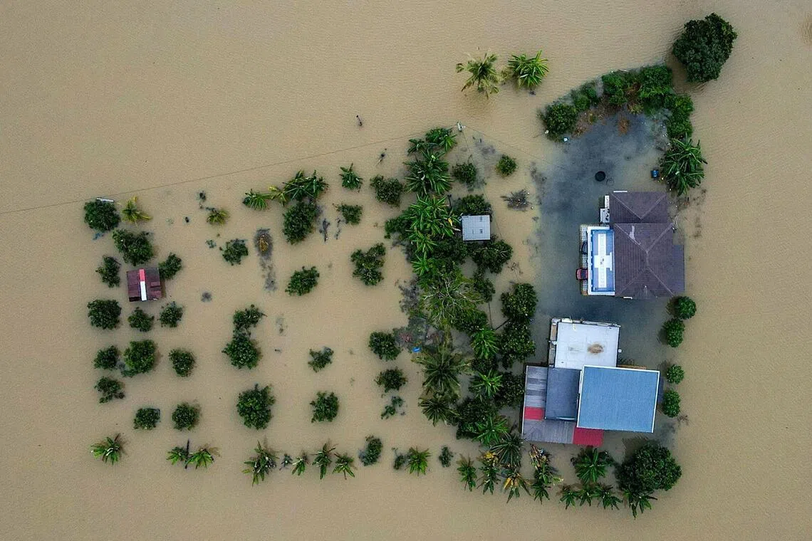 Selangor Police Mobilize for Tropical Storm Senyar: 1 Dead, 49 Trees Down Amidst Heightened Alert & Aid Efforts