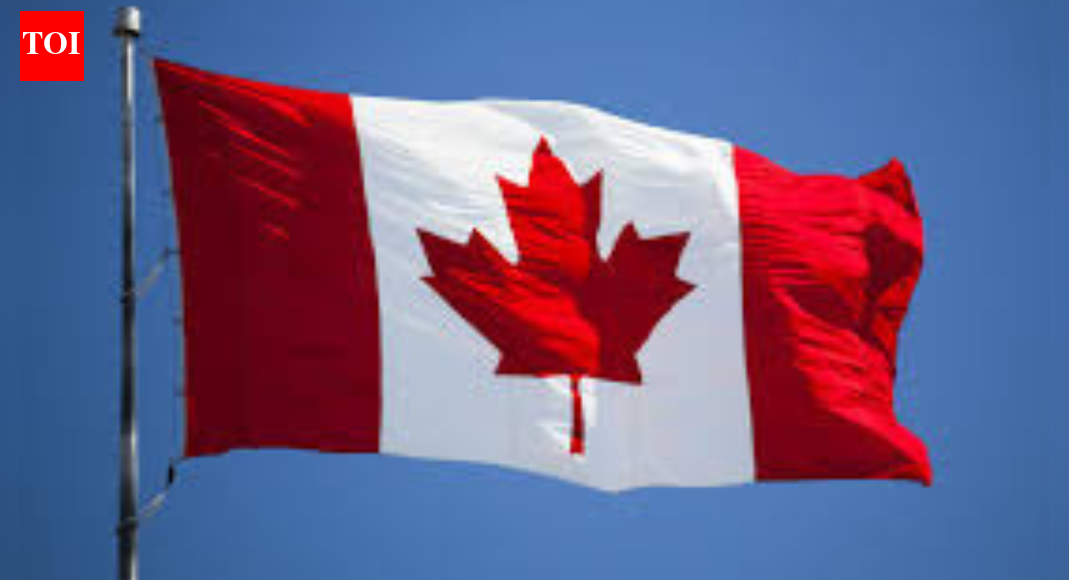 Man Admits to Multiple Sham Marriages in Ontario Court to Facilitate Indian Women's Canada Immigration