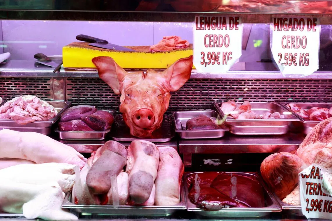 Spain Halts Pork Exports to China After African Swine Flu Outbreak Near Barcelona | Economic Impact & EU Concerns