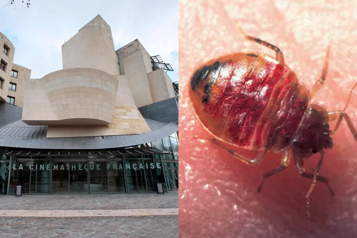 Paris' Cinematheque Francaise Temporarily Closes Due to Bedbug Infestation, Sigourney Weaver Event Impacted