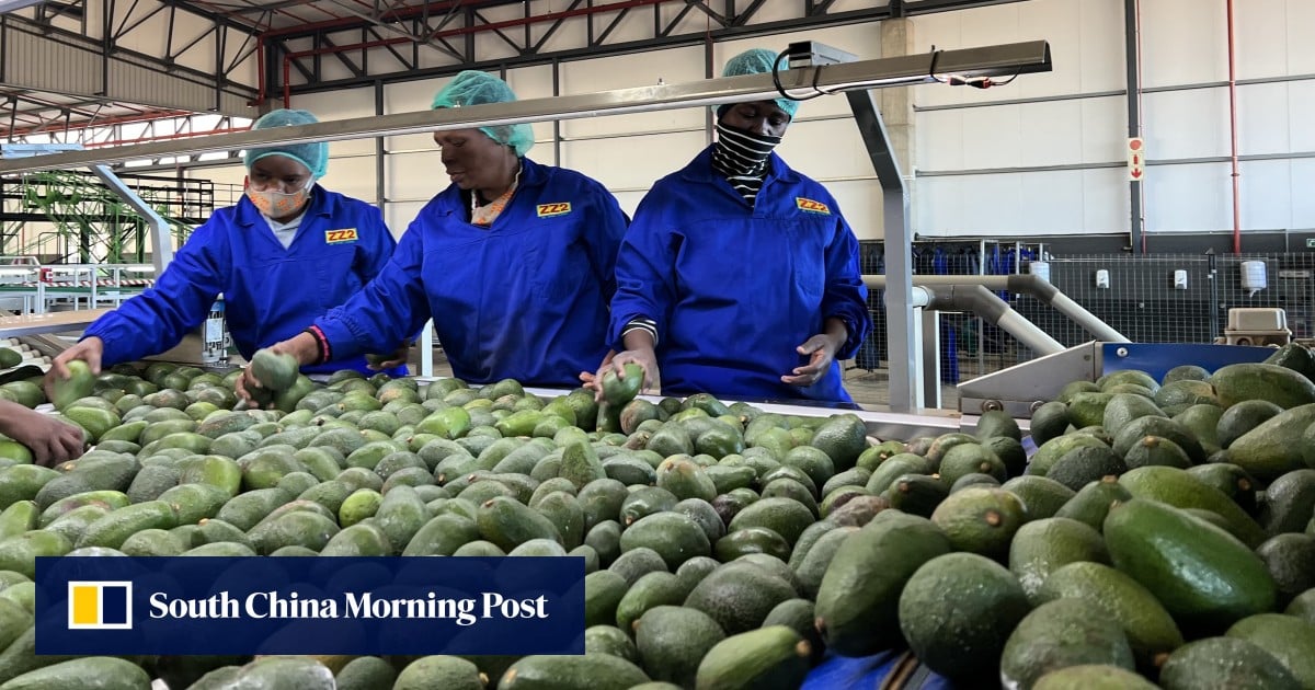 South Africa Shifts Away from US Amid Deteriorating Ties, Eyes China, Asia, & Europe for Trade Diversification