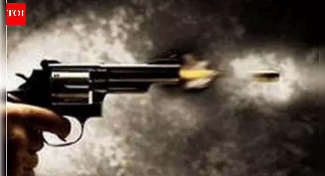 Fatal Shooting at Patrick Henry Mall in Virginia: Suspect Detained After Altercation