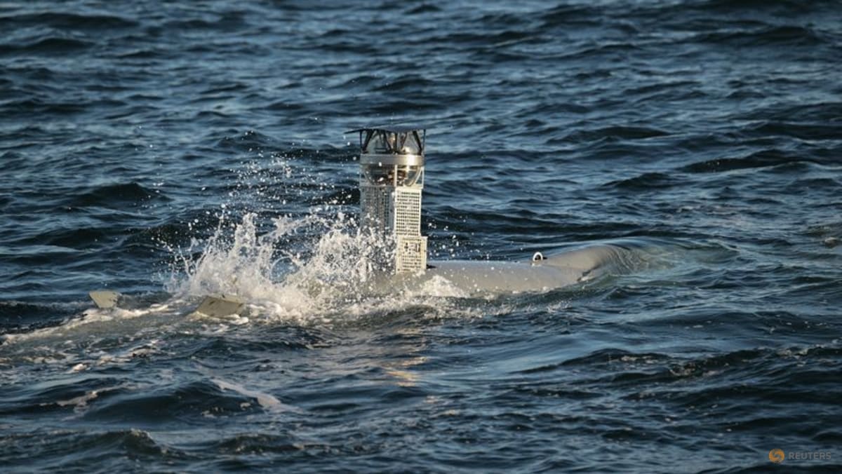 Ukrainian Sea Drones Halt Operations at Major Russian Oil Terminal Amid Kyiv Attacks & Peace Talks